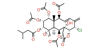 Gemmacolide J